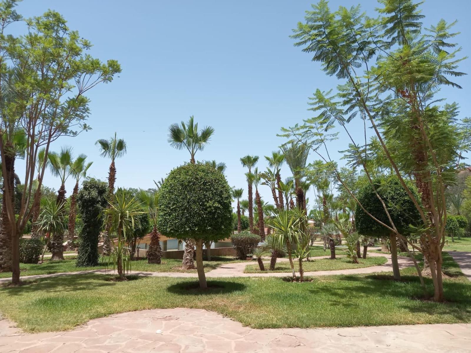 Ferienwohnung Marrakech M Avenue Terrasse Jardin Marrakesch Exterior foto
